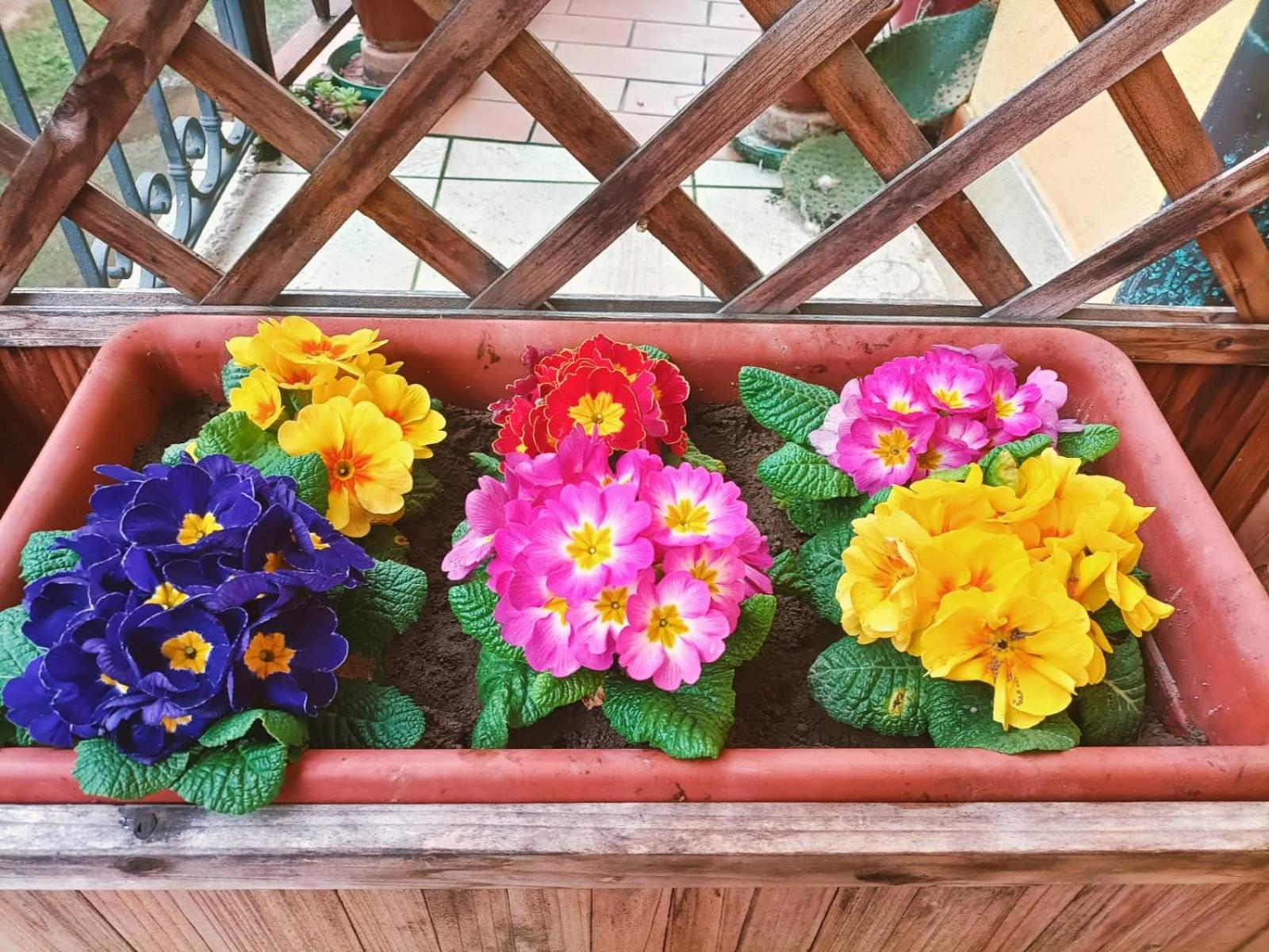Le Colline Di Maggiora B&B Ngoại thất bức ảnh